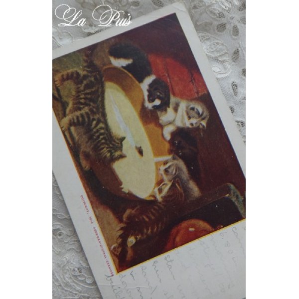 画像1: ミルク猫　ポストカード