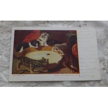 他の写真3: ミルク猫　ポストカード