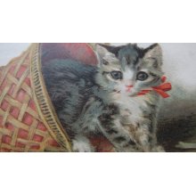 他の写真1: バスケット猫ポストカード