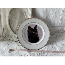 他の写真1: 黒猫　絵皿