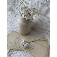 勿忘草　染花　白　１０本　フランスアンティーク