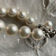 画像9: 本真珠ネックレス　シルバー