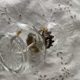 画像7: オイルランプ ガラスカット