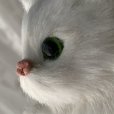 画像3: リアル　白猫　置物