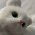 画像4: リアル　白猫　置物