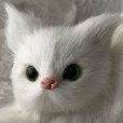 画像5: リアル　白猫　置物