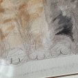 画像7: マッスステイユ 水彩画　猫
