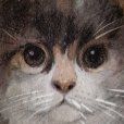 画像5: マッスステイユ 水彩画　猫