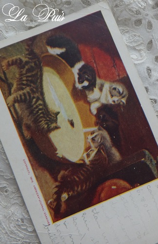 画像1: ミルク猫　ポストカード (1)