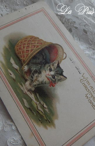 画像1: バスケット猫ポストカード (1)