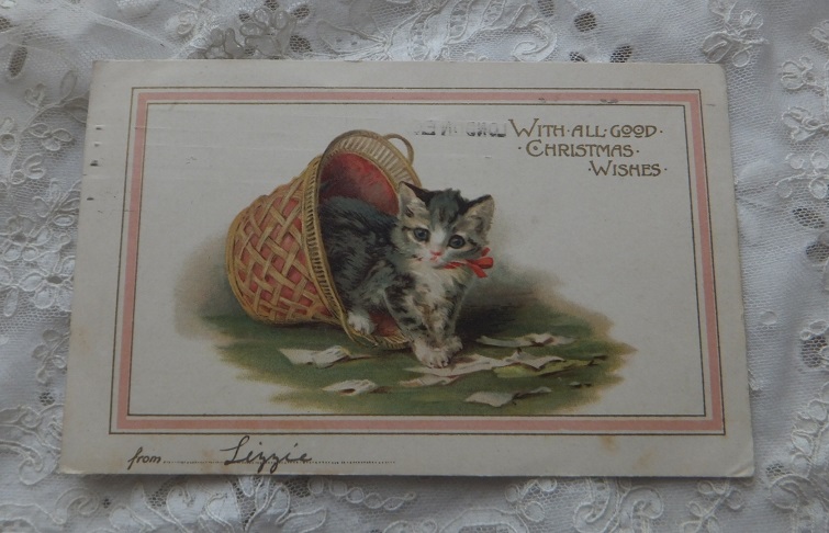 画像: バスケット猫ポストカード