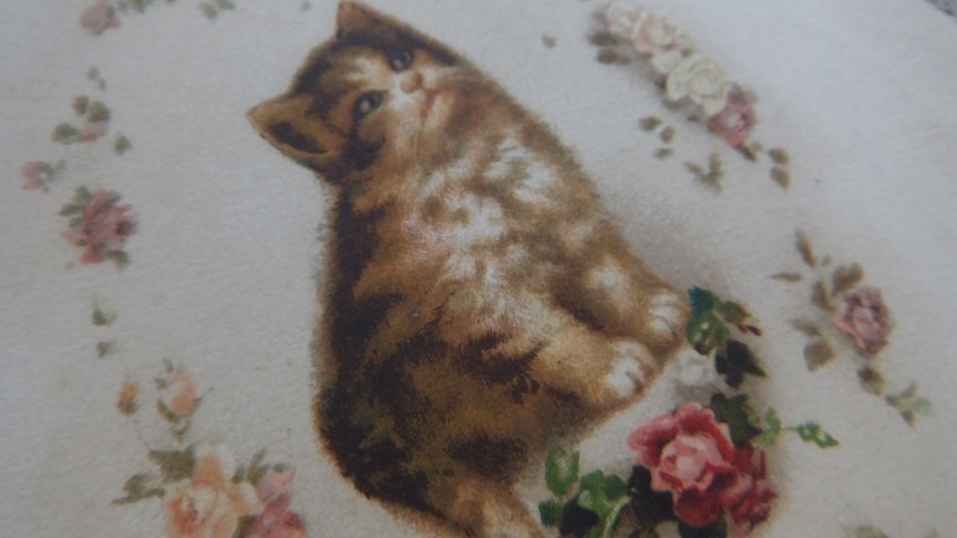 画像: お花猫　ポストカード