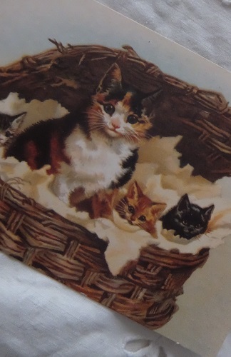 画像1: バスケットに入った猫ちゃんカード (1)