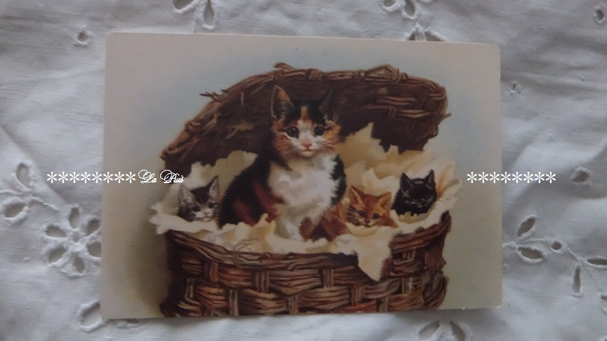 画像: バスケットに入った猫ちゃんカード