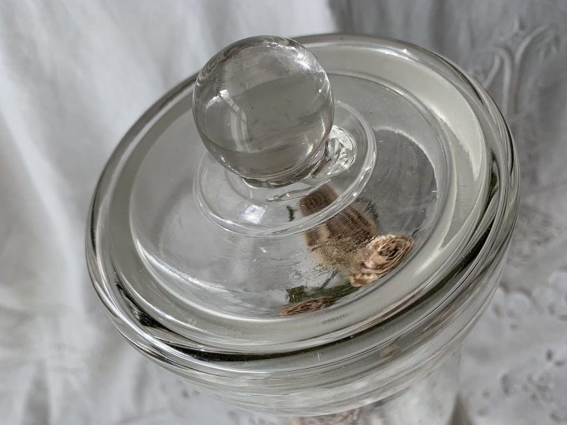 画像: ガラス保存瓶 実験 標本瓶